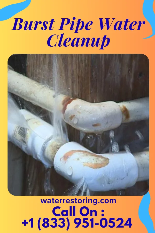 Burst Pipe Water Cleanup in Malvern, OH