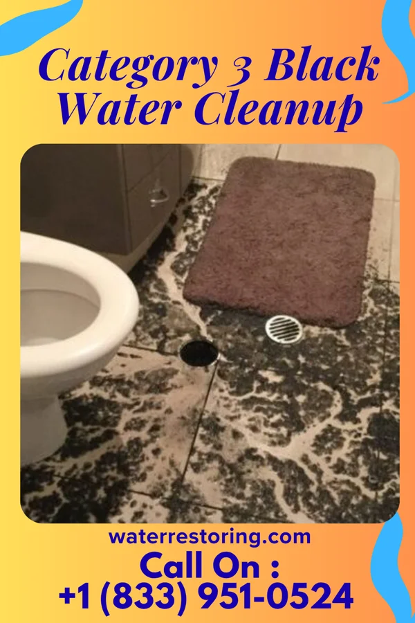 Category 3 Black Water Cleanup in Malvern, OH