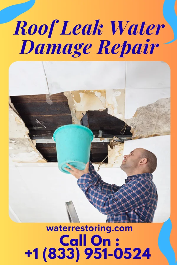 Roof Leak Water Damage Repair in Malvern, OH