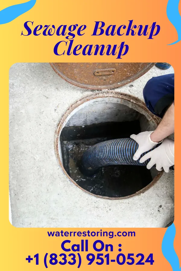Sewage Backup Cleanup in Malvern, OH