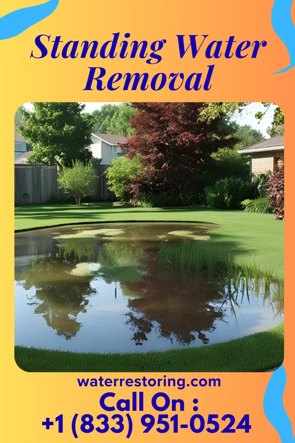 Standing Water Removal in Malvern, OH